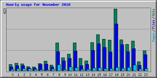 Hourly usage for November 2010